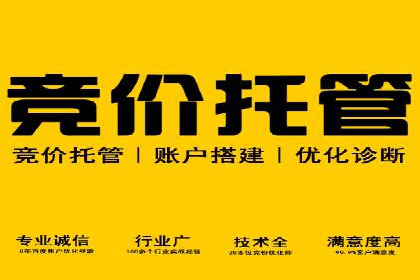 SEM广告投放的预算分配与效果评估——以某企业为例